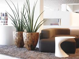 Jun 03, 2021 · el sofá es una pieza fundamental dentro de nuestro salón, pues es un mueble que nos va a aportar mucha comodidad y a ser el centro de atención en esta zona. Decorar Con Plantas De Interior La Casa