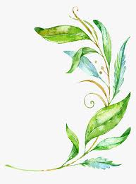 Maybe you would like to learn more about one of these? Watercolor Branch Png Png Green Leaves Vector Transparent Png Kindpng