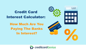 Payment calculator for credit cards and other revolving credit loans. Personal Loans Vs Credit Cards What Is The Difference Creditcardgenius