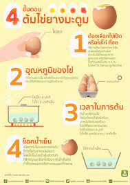 4 ข นตอนต มไข ยางมะต ม ข าวสวยร อนๆก บไข ยางมะต มปร งด วยน ำปลาพร ก เมน ง ายๆท ส ดแสนจะอร อ ผล ตภ ณฑ เพ อส ขภาพ เคล ดล บการทำอาหาร เคล ดล บการด แลส ขภาพ