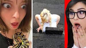 TAS T20 Fun20 • Sai Dodda• 9/10 • #edinburgh #Telugu