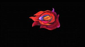 Check spelling or type a new query. Happy Valentine S Day Imgur I Got You This Flower Gif On Imgur