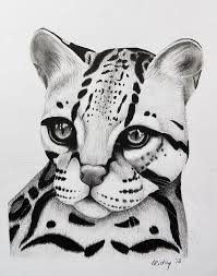 Title Ocelot Artist Deborah Richey Medium Drawing Pencil Drawing Animal Sketches Art Sketches Animal Drawings Its extensively marked fur is the ocelot's most distinguishable feature. pinterest