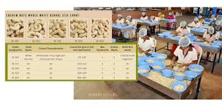 Farmown Whole Cashew Nuts W320 Grade Regular Size Cashews 1 Kg