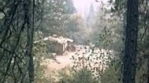 What cabin do you belong in. How I Moved To A Cabin In The Mountains Toughnickel