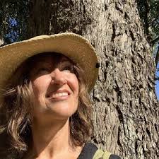 Shop art by Naomi Holmes