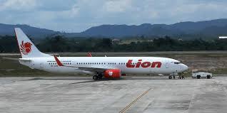Mailing address:lion air tower/7 gajah mada/jakarta, indonesia 10130. Lion Air Penumpang Ambil Foto Dan Video Di Pesawat Wajib Lapor