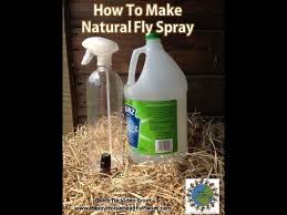 natural fly spray for your horse you