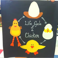 Spring life cycle activities for young children to help them learn the different stages of plants and animals. Life Cycle Of A Chicken Idea Borrowed Artwork Is All Mine Spring Preschool Activities Animal Crafts For Kids Easter Activities For Preschool