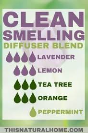 Diffuser Blends That Ll Make Your House Smell Amazing This Natural Home Aromatherapy Oils Essential Oils Aromatherapy Essential Oil Mixes
