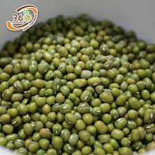 Kacang hijau segar dan saham. 5kg Green Mung Bean Kacang Hijau