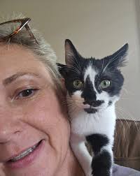 Jefferson County Humane Society, Inc.