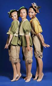 Pin By Cibby Bowden On Jungle Book Peter Pan Costumes Peter Pan Musical Lost Boys Peter Pan