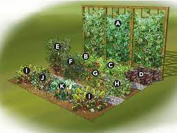 Summer Vegetable Garden Plan A Good Idea For Small Gardens Gardenplanningideaslan Summer Vegetables Garden Garden Layout Vegetable Vegetable Garden Planning