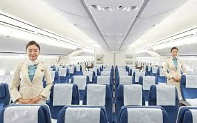 Join us forgot your password? Economy Class Services Vor Dem Flug Korean Air