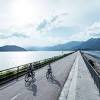 Livelo makes road cycling in hong kong easy. Https Encrypted Tbn0 Gstatic Com Images Q Tbn And9gcsacp2aqp0fvhetk9qrp25 Sebarkqzkuzhkvt1gc3lef8lbwem Usqp Cau