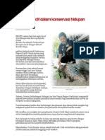 Beruang itu kemudian dipindahkan ke pusat menyelamat hidupan liar kebangsaan (nwrc) sungkai untuk pemantauan dan sesi rawatan selanjutnya, katanya. Article Hidupan Liar