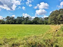 Maybe you would like to learn more about one of these? Louisiana Hunting Land For Sale Landflip