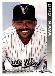 Rio Grande Valley WhiteWings Gallery