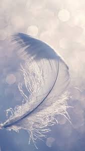 You Flow Like A Feather In A Beautiful World A Warm Welcome To 2014 With Images Angel Feather Photo
