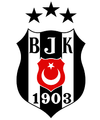Besiktas 3 Yildizli Amblem Panosundaki Pin