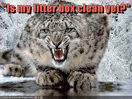 See more ideas about clean memes, memes, bones funny. Animal Comedy Clean Animal Comedy Animal Comedy Funny Animals Animal Gifs Cheezburger