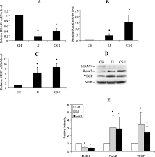 401 오류 코드 수정 : Hdac4 Represses Vascular Endothelial Growth Factor Expression In Chondrosarcoma By Modulating Runx2 Activity Journal Of Biological Chemistry