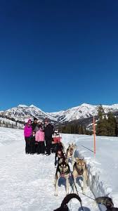 And return at approximately 4:30 p.m. Granite Hot Springs Picture Of Jackson Hole Iditarod Sled Dog Tours Tripadvisor