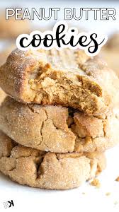 Best Peanut Butter Chip Cookies Video Kroll S Korner Recipe Peanut Butter Chip Cookies Peanut Butter Cookies Peanut Butter Cookie Recipe