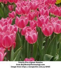 Enjoy the best free online jigsaw, with a new puzzle every day. Pin De Paulina Garcia Menor Lopez En Totally Fun Jigsaw Puzzles Rompecabezas