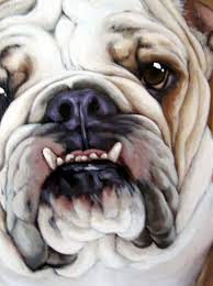 Pin By Amy Hall On Bulldoggies English Bulldog Art Bulldog Art Dog Artwork