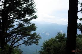 You can turn to cinde if you need to detect whether your movies are protected with cinavia or not. Karopi Karopi 9 é 