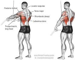 Pin By Weight Training Guide On Shoulder Workout Workout Guide Good Back Workouts Cable Workout