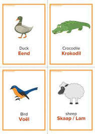 Animals Afrikaans Flashcards By Language Forum Tpt