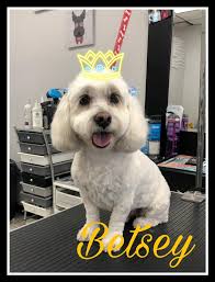 Ruffington's Palace added a new photo.