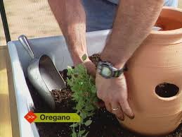 Herbs planted in a garden can go without water temporarily and tolerate excess water in the soil. How To Plant Herb Pots How Tos Diy