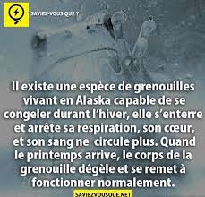 Svq Une Grenouille En Alaska En 2020 Saviez Vous Que Texte Touchant Le Savier Vous