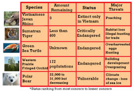 endangered animals research lesson for kids study com