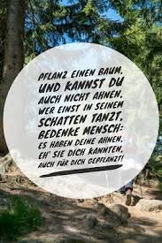 Pin Auf Garten Und Weisheiten