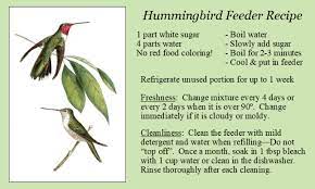 Fill your hummingbird feeders with the sugar water and place outside. Food For Hummingbirds Feeders Flowers And Bugs Loudoun Wildlife Conservancy