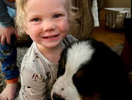 Alive Counselling- Barb Egan & Therapists Kelowna (@alivecounselling) •  fotos e vídeos do Instagram