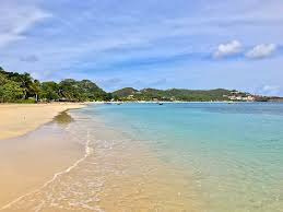 Usvi Declares Soe On St Croix Due To Influx Of Sargassum Seaweed | Loop  Caribbean News