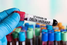 Hepatitis d is a type of viral hepatitis caused by the hepatitis delta virus (hdv), a small spherical enveloped particle that shares similarities with both a viroid and virusoid. Meningkat Corona Varian Delta Terdeteksi Di 9 Provinsi Ini Daftarnya Halaman All Kompas Com