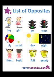 Opposites Worksheets Guruparents