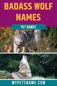 Badass Names For A Wolf Wolf Name Pet Names Pets
