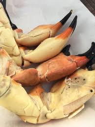 Maybe you would like to learn more about one of these? Best Stone Crab Claws I Ve Ever Had Cracked Well Fresh And Delicious Picture Of Eaton Street Seafood Market Restaurant Key West Tripadvisor