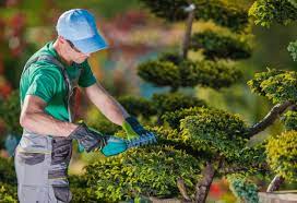 Becoming A Self Employed Landscape Gardener What Is There To Know