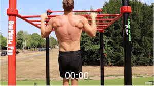 If you're running out of ideas, you're landing on the perfect page! Calisthenics Pull Workout Routine Calisthenics Family