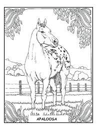 pin on livre de coloriage infuser des couleurs naturelles dans les coloriages bougies