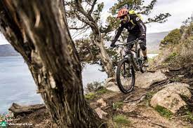 Best bike buyer's guide in malaysia. Lapierre Electric Bicycle E Bike Makes Debut In Malaysia By Year End